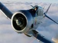 Warbird experience picture